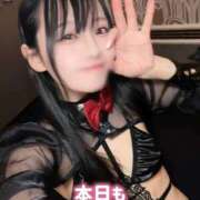 ヒメ日記 2025/12/14 00:43 投稿 ゆづき TOKYO BUNNYS CLUB