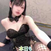 ヒメ日記 2025/12/15 00:50 投稿 ゆづき TOKYO BUNNYS CLUB