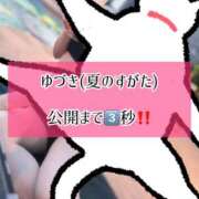 ヒメ日記 2026/03/15 06:13 投稿 ゆづき TOKYO BUNNYS CLUB