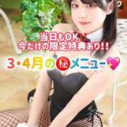 ヒメ日記 2026/03/25 08:13 投稿 ゆづき TOKYO BUNNYS CLUB