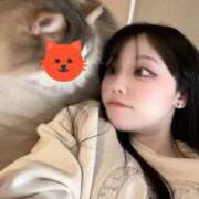 ヒメ日記 2026/03/29 06:13 投稿 ゆづき TOKYO BUNNYS CLUB