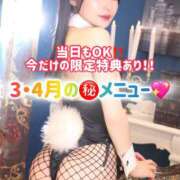 ヒメ日記 2026/03/29 08:03 投稿 ゆづき TOKYO BUNNYS CLUB