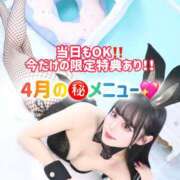 ヒメ日記 2026/04/04 08:13 投稿 ゆづき TOKYO BUNNYS CLUB