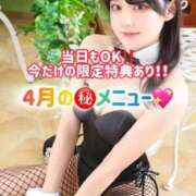 ヒメ日記 2026/04/14 08:13 投稿 ゆづき TOKYO BUNNYS CLUB