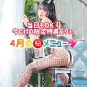 ヒメ日記 2026/04/15 06:13 投稿 ゆづき TOKYO BUNNYS CLUB