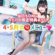 ヒメ日記 2026/04/24 08:13 投稿 ゆづき TOKYO BUNNYS CLUB