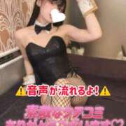 ヒメ日記 2026/09/17 06:13 投稿 ゆづき TOKYO BUNNYS CLUB