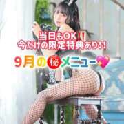 ヒメ日記 2026/09/18 08:18 投稿 ゆづき TOKYO BUNNYS CLUB