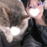 ヒメ日記 2026/10/08 06:13 投稿 ゆづき TOKYO BUNNYS CLUB