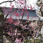 つき おはよー♥ 尼妻（あまづま）