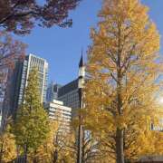 ヒメ日記 2025/12/01 10:46 投稿 高井つむぎ 乳ビーナス(New Venus)