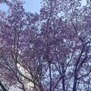 ヒメ日記 2026/03/14 09:51 投稿 高井つむぎ 乳ビーナス(New Venus)