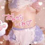 ヒメ日記 2025/11/24 02:44 投稿 神楽あいり ヴェルファーレーVELFARREー鹿児島