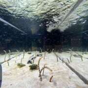 ヒメ日記 2024/12/18 20:16 投稿 あおい club Kiss