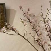 ヒメ日記 2025/04/17 18:16 投稿 なるみ 完熟ばなな新宿