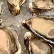 なるみ 完熟ばなな新宿　なるみ 完熟ばなな新宿