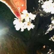 ヒメ日記 2025/03/31 13:49 投稿 佐伯 まほ Men's relaxation VEGA