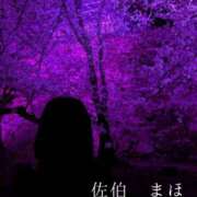 ヒメ日記 2025/04/04 09:54 投稿 佐伯 まほ Men's relaxation VEGA