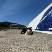 ヒメ日記 2025/06/04 12:03 投稿 佐伯 まほ Men's relaxation VEGA