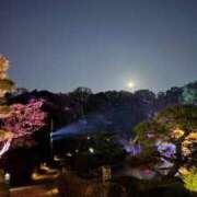 ヒメ日記 2026/04/04 17:53 投稿 佐伯 まほ Men's relaxation VEGA