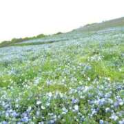 ヒメ日記 2026/04/16 15:03 投稿 佐伯 まほ Men's relaxation VEGA