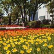 ヒメ日記 2025/04/22 12:26 投稿 松井 熟女の風俗最終章 新横浜店