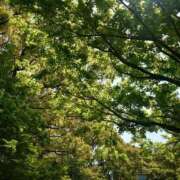 ヒメ日記 2025/05/01 10:46 投稿 松井 熟女の風俗最終章 新横浜店