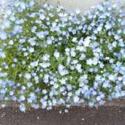 ヒメ日記 2025/05/06 12:46 投稿 松井 熟女の風俗最終章 新横浜店