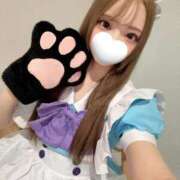 かな あと2日！ ギャルコレクション