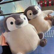 かな 貸切さんきゅっ✨️ ギャルコレクション