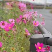 ヒメ日記 2025/10/31 14:56 投稿 小島 久留米デリヘルセンター