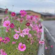 ヒメ日記 2025/11/15 11:38 投稿 小島 久留米デリヘルセンター