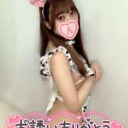 ヒメ日記 2025/07/31 14:04 投稿 あいか マツタケヒロシ