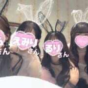 ヒメ日記 2025/03/01 12:06 投稿 ましろ 紳士の嗜み 大宮