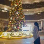 ヒメ日記 2025/11/19 03:21 投稿 ましろ 紳士の嗜み 大宮