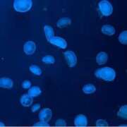 ヒメ日記 2025/03/22 23:12 投稿 細川このみ お姉さんCLUB