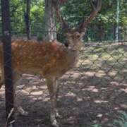 ヒメ日記 2025/08/01 10:54 投稿 細川このみ お姉さんCLUB