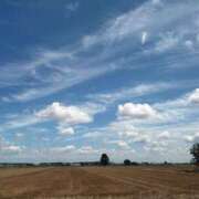 ヒメ日記 2025/08/04 09:36 投稿 細川このみ お姉さんCLUB