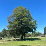 ヒメ日記 2025/08/22 12:42 投稿 細川このみ お姉さんCLUB