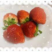 細川このみ いちご お姉さんCLUB