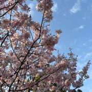 ヒメ日記 2026/04/20 18:12 投稿 細川このみ お姉さんCLUB