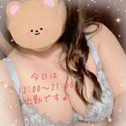 ヒメ日記 2025/02/17 11:13 投稿 なの ぽっちゃり巨乳素人専門横浜関内伊勢佐木町ちゃんこ