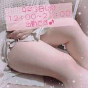 ヒメ日記 2025/09/01 21:29 投稿 なの ぽっちゃり巨乳素人専門横浜関内伊勢佐木町ちゃんこ