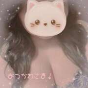 ヒメ日記 2025/12/22 23:46 投稿 なの ぽっちゃり巨乳素人専門横浜関内伊勢佐木町ちゃんこ