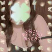 ヒメ日記 2026/02/16 12:36 投稿 なの ぽっちゃり巨乳素人専門横浜関内伊勢佐木町ちゃんこ