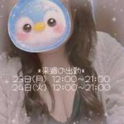 ヒメ日記 2026/03/21 19:36 投稿 なの ぽっちゃり巨乳素人専門横浜関内伊勢佐木町ちゃんこ