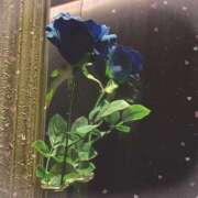 ヒメ日記 2025/03/12 01:03 投稿 【るる】業界完全未経験　巨乳 バブルリングプラス