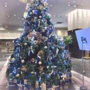 ヒメ日記 2025/11/29 22:42 投稿 【るる】業界完全未経験　巨乳 バブルリングプラス