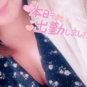 ヒメ日記 2025/02/04 14:45 投稿 ゆり【業界未経験】 茨城水戸ちゃんこ