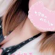 ヒメ日記 2025/02/13 12:55 投稿 ゆり【業界未経験】 茨城水戸ちゃんこ